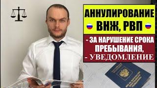 ВНЖ, РВП РОССИИ 2023. Аннулирование за нарушение сроков пребывания в РФ и подачу уведомления. Штрафы