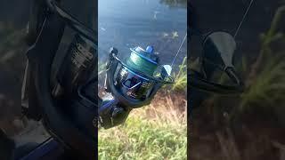новый спиннинг, рыбалка на спиннинг#fishing #рыбалка  #спиннинг #спиннингист #щука#новыйспиннинг