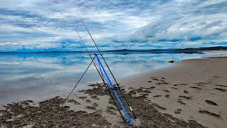 2 new marks - 3 new species | Sea Fishing Morecambe