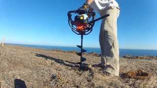 Santa Barbara Island 2013 Restoration Planting