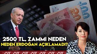 2500 TL. ZAMMI NEDEN CB ERDOĞAN AÇIKLAMADI ?