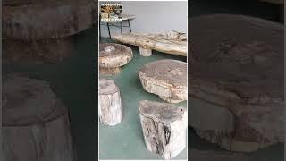 Petrified Log Coffee Table #logtable #livingroomfurniture #coffeetables #coffeetable