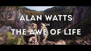 Alan Watts: The Beauty of Life