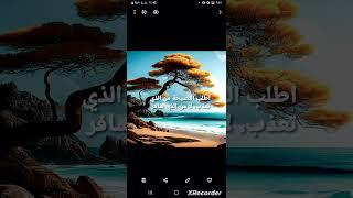 حكم وامثال وكلام جميل عن الحياة ولله الحمد