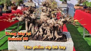 Gặp rất nhiều tác phẩm bosai chất tại trưng bày cây cnahr nghệ thuật tại CLB 99 bắc ninh lần này.