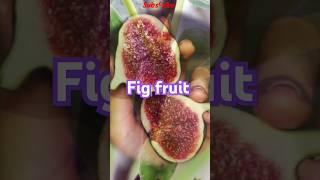 Beautiful Fig Fruit #nature #fruit #food #fig #youtube #shorts