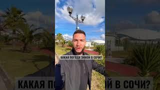 КАКАЯ ПОГОДА ЗИМОЙ В СОЧИ?