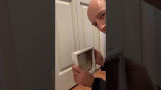 Petsafe 2 way interior cat door install into a hollow core bifold door