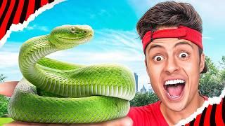 COMPREI UMA COBRA GIGANTE E NÃO FOI UMA BOA IDEIA!