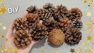 VERY Beautiful ! Christmas decoration idea with Pine cone - Genius recycling crafts - DIY hacks