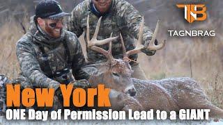 Deer Hunting - One Day Permission Leads to Giant Buck