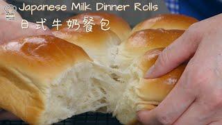 中筋面粉日式牛奶餐包/排包 - 松软湿润，香甜可口 / Soft & Fluff Japanese Milk Dinner Rolls with All Purpose Flour