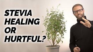 Stevia - Healing or Hurtful? A Non-Sugar Sweetener. What does the science show?