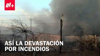 Emergencia por incendios en Nuevo León: Devastación por las llamas - Despierta