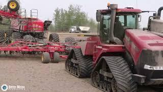 Case IH Quadtrac 620 POWER bei der Raps-Aussaat 2024 mit Väderstad Seed Hawk 980 Airseeder.