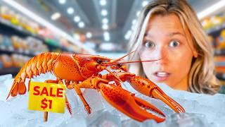 Raising a Grocery Store Lobster as a Pet