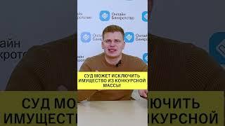 Это имущество точно заберут в банкротстве!