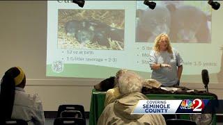 Seminole County residents learn about how to live with bears