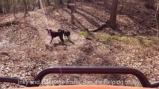 Home Built Log Arch moving White oak sticks