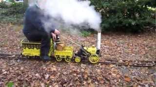 Stephenson's Rocket model