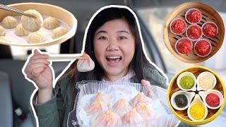 TRYING EVERY SOUP DUMPLING IN SAN FRANCISCO! Best Xiao Long Bao (小籠包) Tour