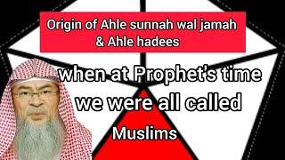 Why call ourselves Ahle Sunnah wal jamah, Ahle hadees (origin) at Prophet's time we were all muslims