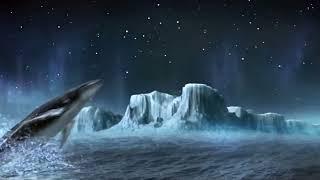 Alger Whale Pictures (2023)