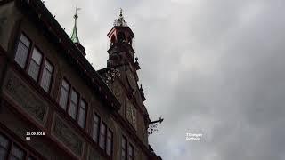 Rathaus - Tübingen