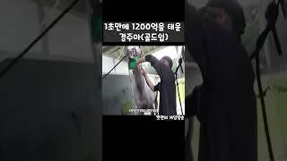 일본경주마 중에 제일 미친녀석을 소개합니다. ㅋㅋ