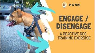 Engage / Disengage: The Best Reactive Dog Training Exercise