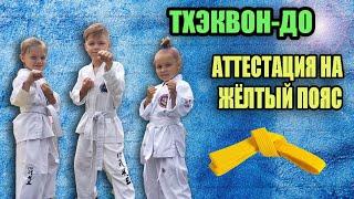 Аттестация на ЖЁЛТЫЙ пояс. ТХЭКВОНДО ITF