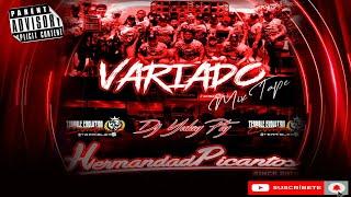 VARIADO MIX 2024 - Dj Yulay PTY Ft Hermandad Picanto  Terrible Evolution Corporation /#mix #viral