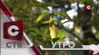 Заставка «Утро» на СТВ (2024 - Н. В.)