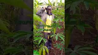Touring my garden.One is better than 0