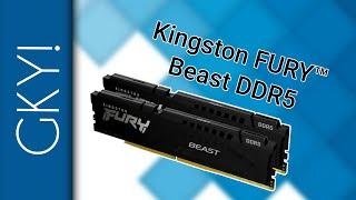 Kingston FURY™ Beast DDR5