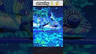 Wow  animals magic video #ranvirgramvashi11 #ai #animals #status #status #shortvideos #trending