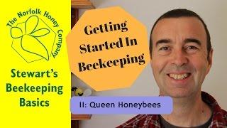Getting Started in Beekeeping: 11: Queen Honeybees - The Norfolk Honey Co.  #Beekeeping