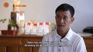 [TIẾNG DAO] OCOP NÂNG TẦM NÔNG SẢN VÙNG CAO QUẢNG TRỊ | VTV5