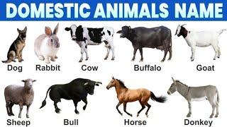 Domestic Animals Name in English ||Animals Video for kids || How to read Animals Name || #cow ||