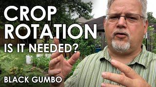 Crop Rotation in a Small Garden - Yes or No? || Black Gumbo