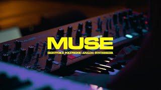 Moog Muse | Nas Illmatic 30 Year Anniversary Tour | Markay Fairley | PPAC