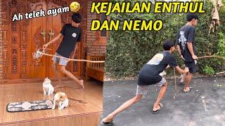 KEJAILAN DAN KESERUAN ENTHUL SAMA NEMO SAAT SHOTHING