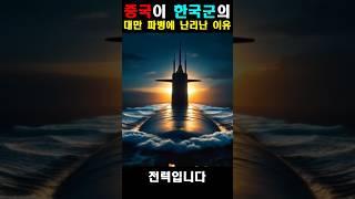 중국이 한국군의 대만 파병에 난리난 이유