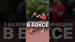 3 базовых серии в боксе #бокс #тренерпобоксу #персональныйтренер