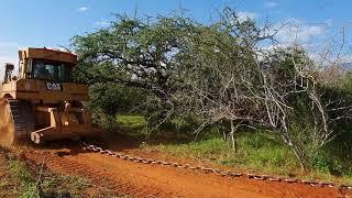 D6 Caterpillar bulldozer land clearing