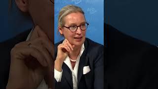 AfD wirft Maximilian Krah aus der Delegation im Europaparlament