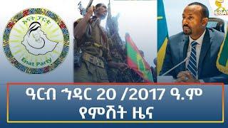 Ethiopia - Esat Amharic Night time news 29 November 2024