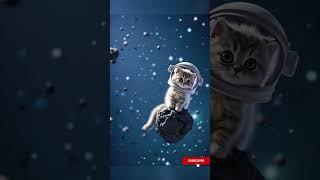 Cat Drifting in Space | Emotional Shorts #cat #ai #catlovers #catloverscluba #story