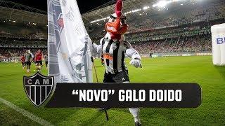 "Novo" Galo Doido agita o Horto