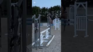 Brave boy  #equestrianjourney #horse #ottbhorse #riding #showjumping
